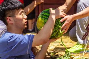 长椅吃瓜原版视频,揭秘原版视频背后的故事与魅力