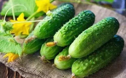 刀小刀阳台吃瓜视频,揭秘娱乐圈幕后故事