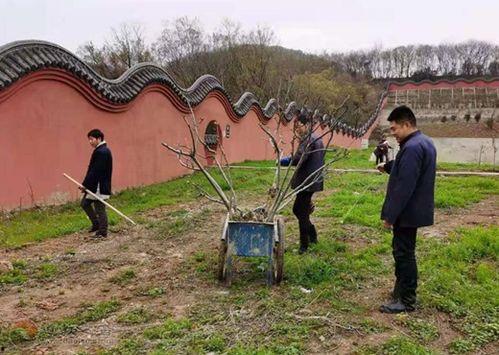 南京方山吃瓜事件视频,一场引发热议的街头冲突瞬间