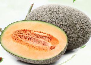 吃绿色哈密瓜的视频大全,视频大全回顾