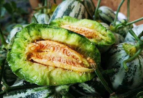 山东两位网红吃瓜视频曝光,揭秘娱乐圈惊人内幕