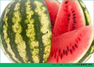 吃瓜视频每日吃瓜51,揭秘娱乐圈最新热点事件