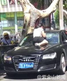 吃瓜视频捉小三,捉小三背后的真相与反思