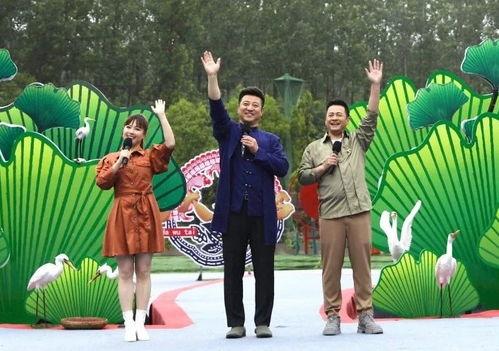 石家庄最近吃瓜新闻视频,视频揭秘幕后真相