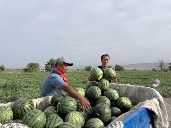 两广地区吃瓜视频,视频里的清凉一夏