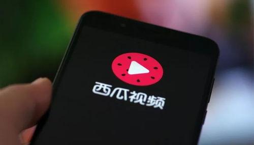 vivox50吃瓜视频,揭秘手机背后的那些事