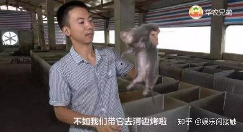 千粉计划吃瓜视频,揭秘吃瓜视频背后的秘密与魅力