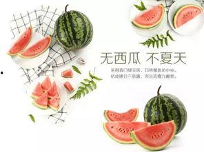 气氛正嗨吃瓜视频,热门视频带你领略网络狂欢氛围