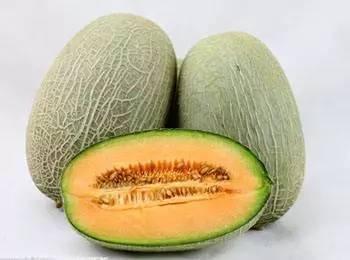 给驴哥吃哈密瓜视频