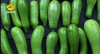 什么瓜不能做菜吃呢视频,哪些“瓜”不能做菜，别让误食成隐患